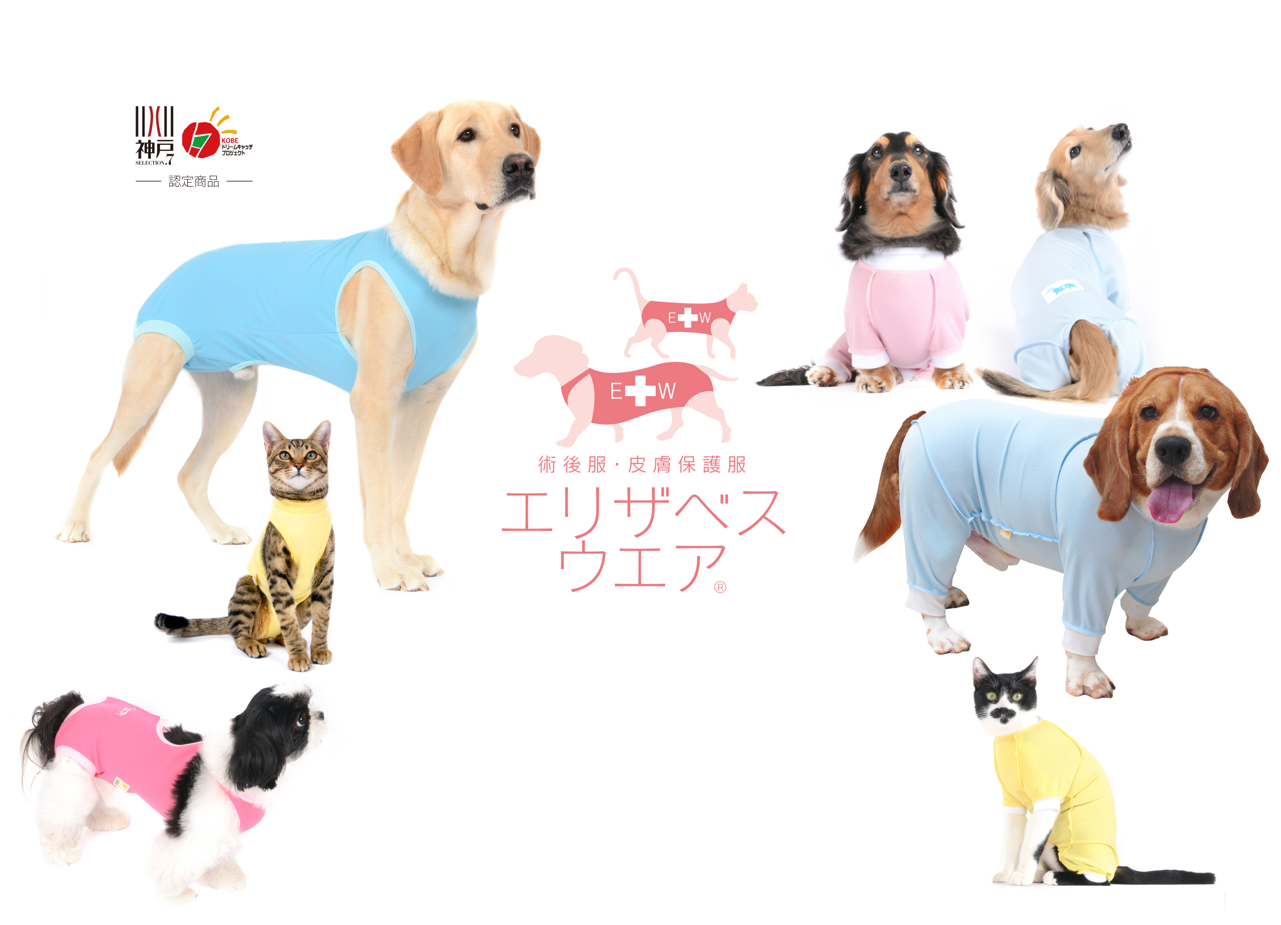 エリザベスカラーに代わる犬の介護服 術後服ならエリザベスウエア